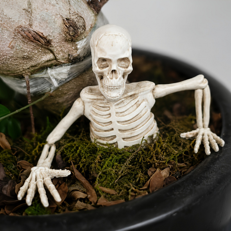Bonsai Garden Landscape Design - Adorno de jardinería de medio cuerpo
