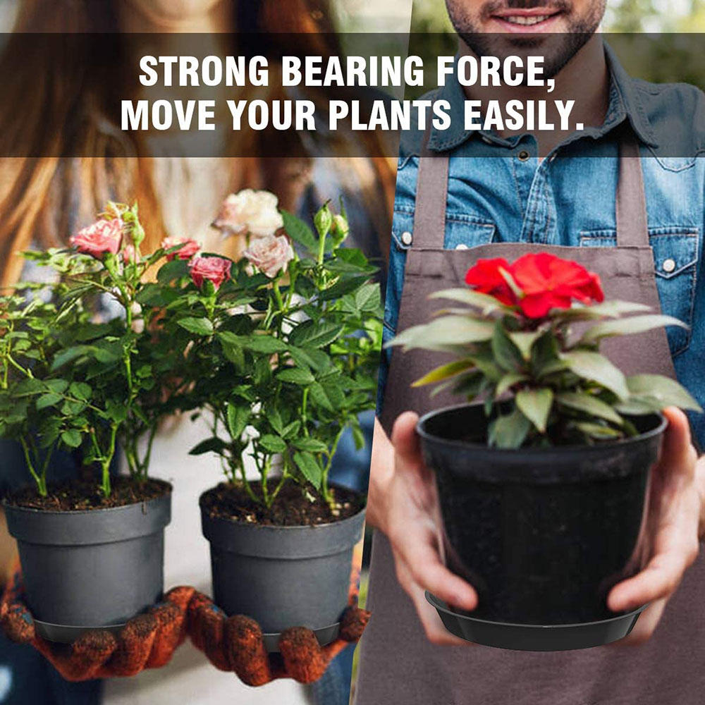 Bandejas para plantas de forma - Drip Tray Saucer reseña y precio