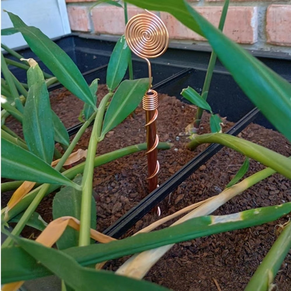 Estacas Espirales para Plantas - Copper Wire Roll reseña y precio