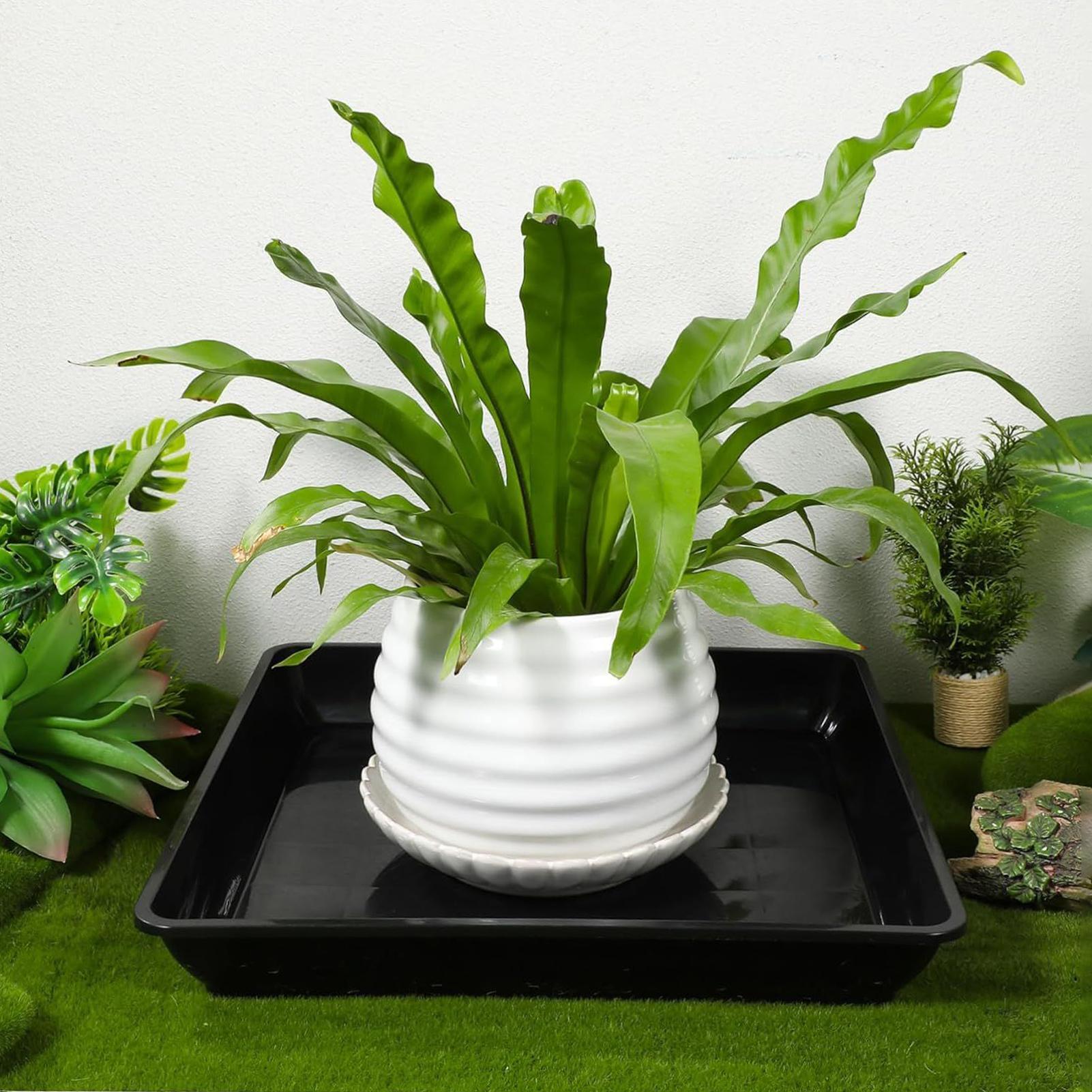Base para maceta de flores, ba - Drip Tray Saucer reseña y precio