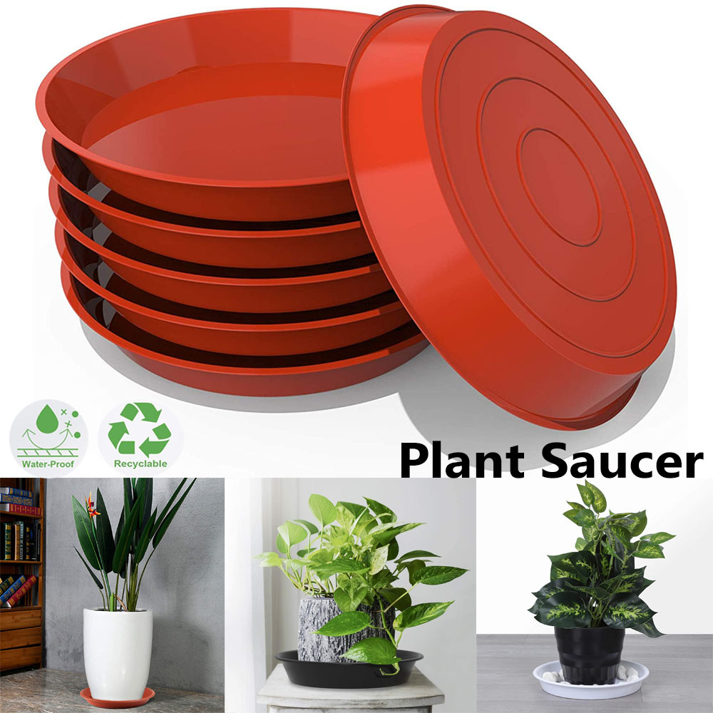 Juego de 3 Bandejas Redondas p - Drip Tray Saucer reseña y precio
